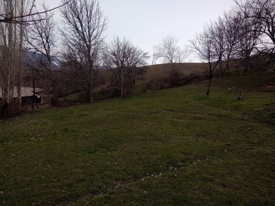 ANGREN SHAHAR QATAGON mahallasidan 18 sotiq yer sotiladi