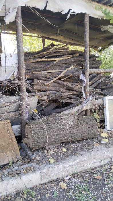 Дрова  карагач продаю