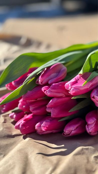 Тюльпаны Шахтинск