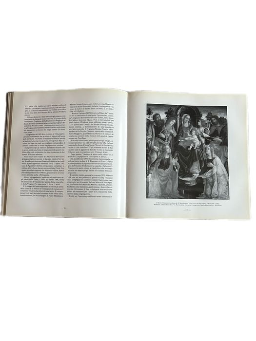 Carte I Pittori Rinascimentali a Lucca Rugani Edizioni 1988 Artă Renaștere