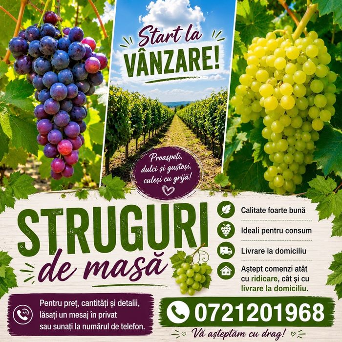 Struguri de masa Arcadia si cardinal