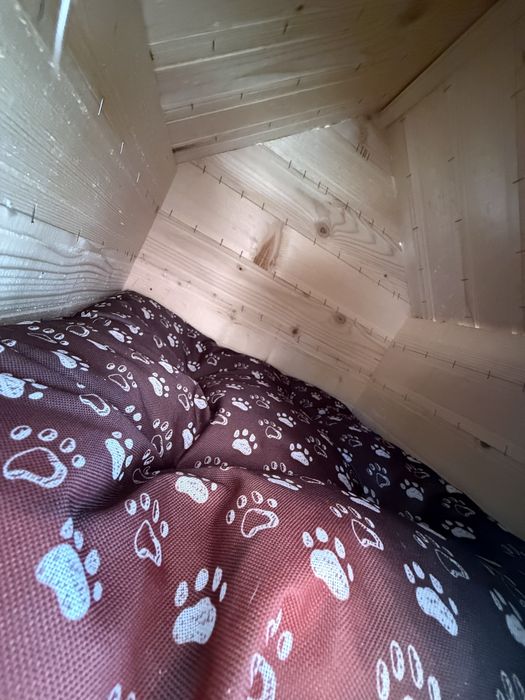 Къщичка за котки