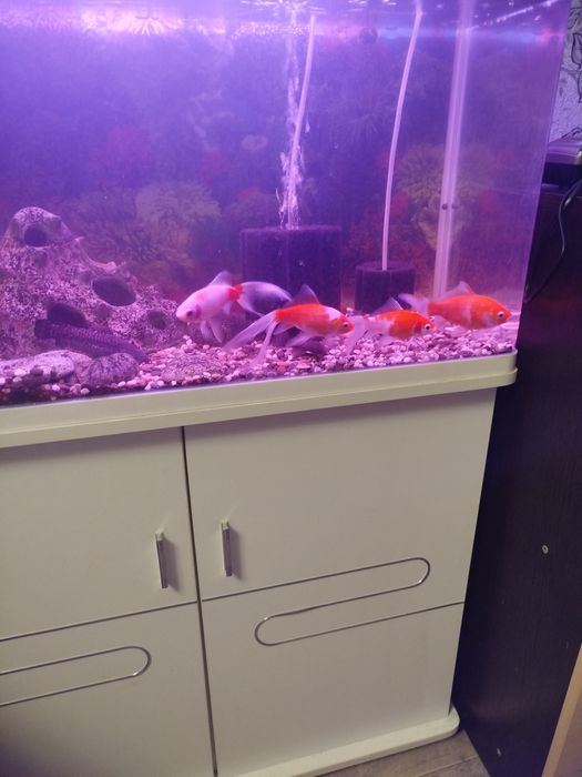 Продам Аквариум с тумбой