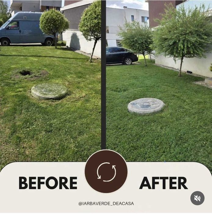 Ingrijire gradini si spatii verzi - oferte personalizate