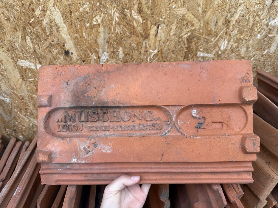 Vând țiglă Muschong