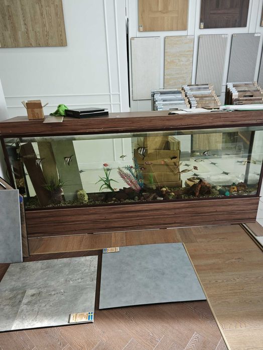 Аквариум большой