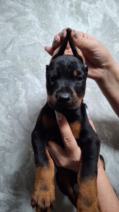 С документами дети