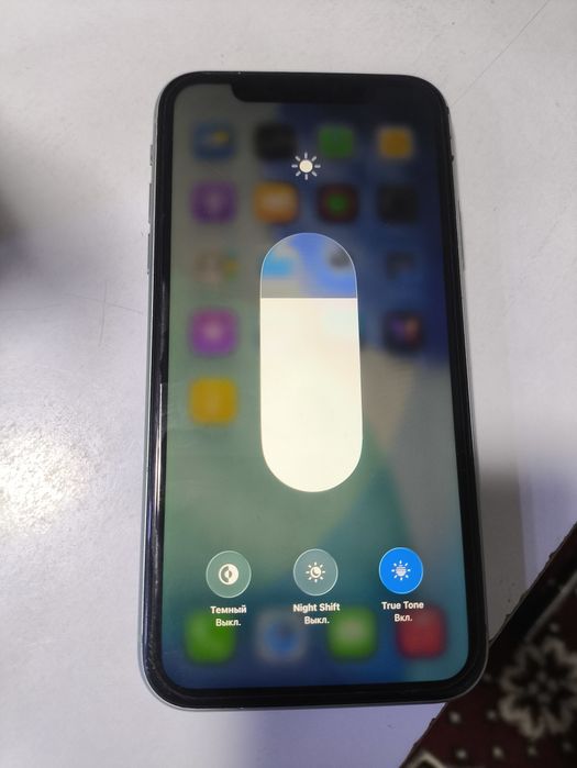 Iphone 11 radnoy