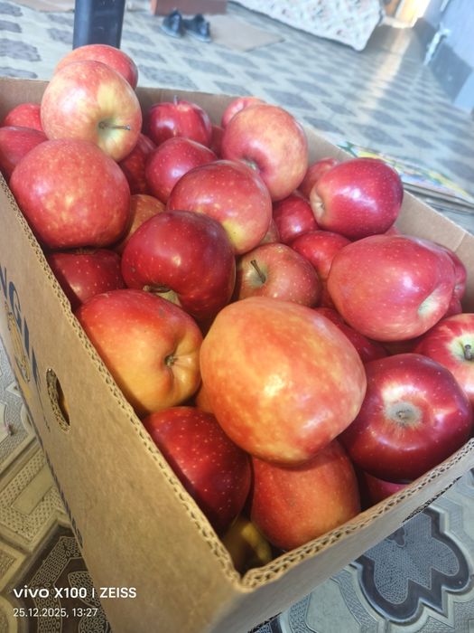 Продам яблоки золотой и американка