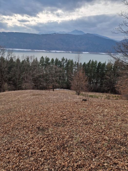 Teren intravilan com. Hangu