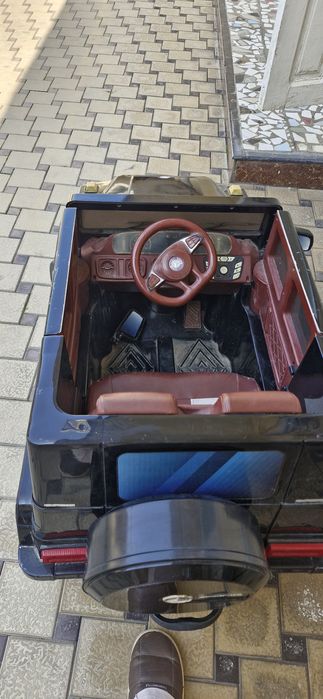 Moshina pultli kotta