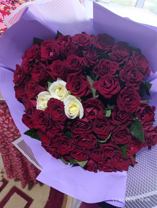 Розы 51 шт 60 см