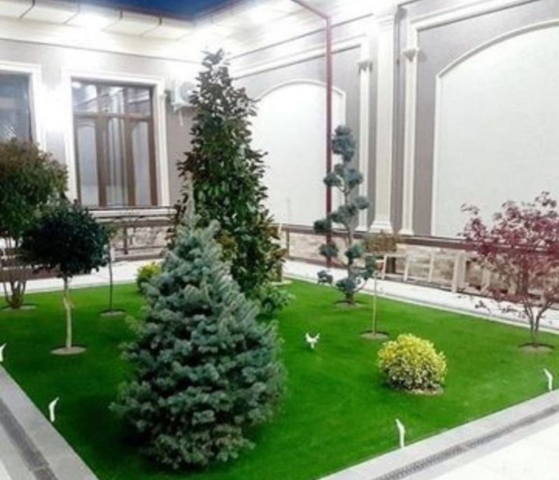 Gazon Ekamiz Narxi 35000min som