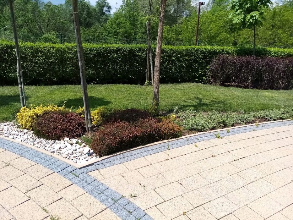 Озеленяване, косене, поддръжка на тревни площи