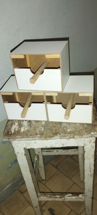 Dublanka Amadinka qushla uchun