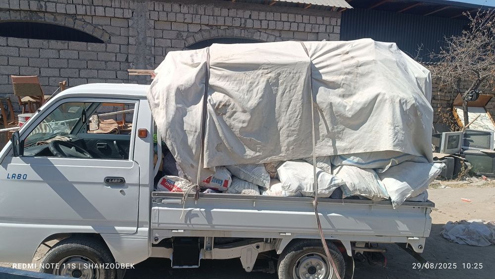 Musir olib ketish24/7