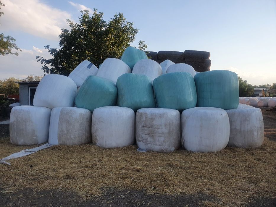 Vând baloti rotunzi infoliati lucerna si siloz porumb TOCAT