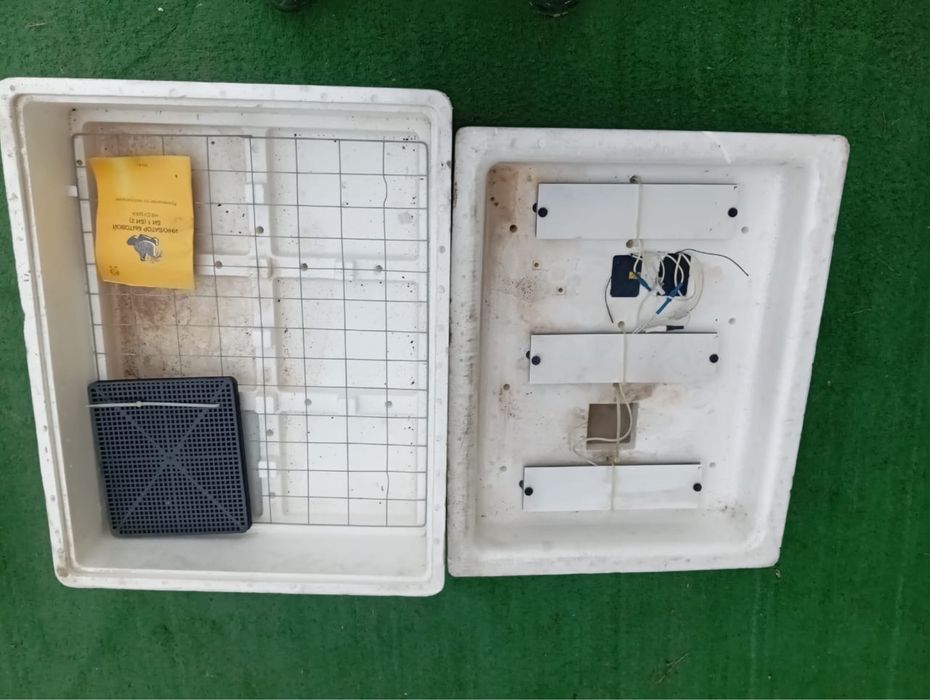 инкубатор для яиц