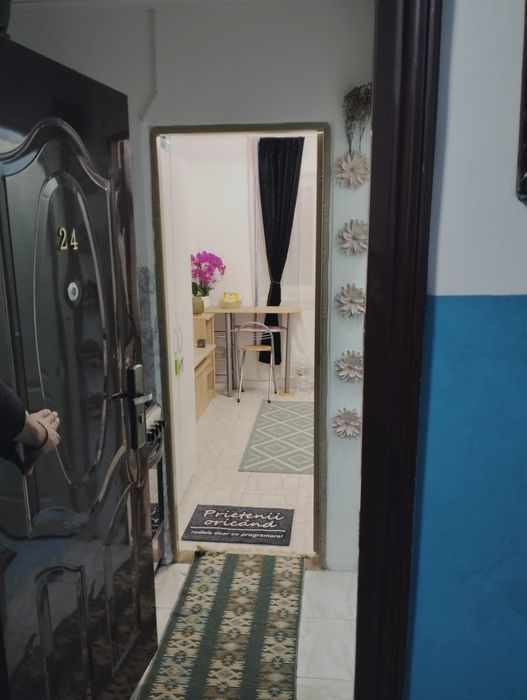 Persoana fizica, camera Mihail Sturdza