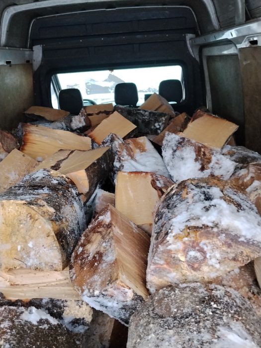 Vind lemne de foc esență tare fag