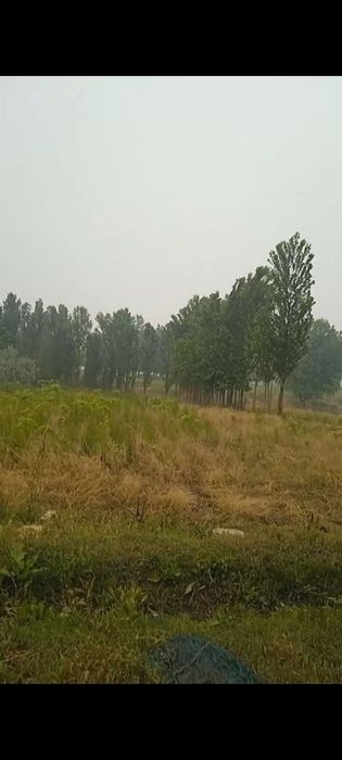 Dalahovli qilish niyatida bôlganlar uchun keng maydonli yer