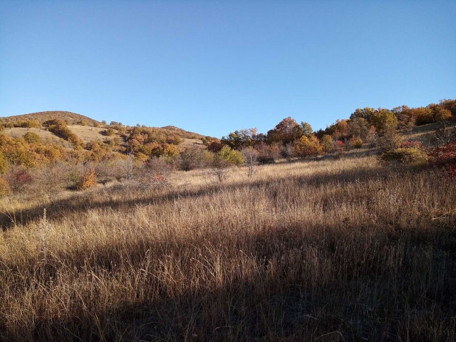 Продава се Парцел в с. Лясково, Област Стара Загора - 6967 кв.м за 5 €/кв.м - Снимка #2