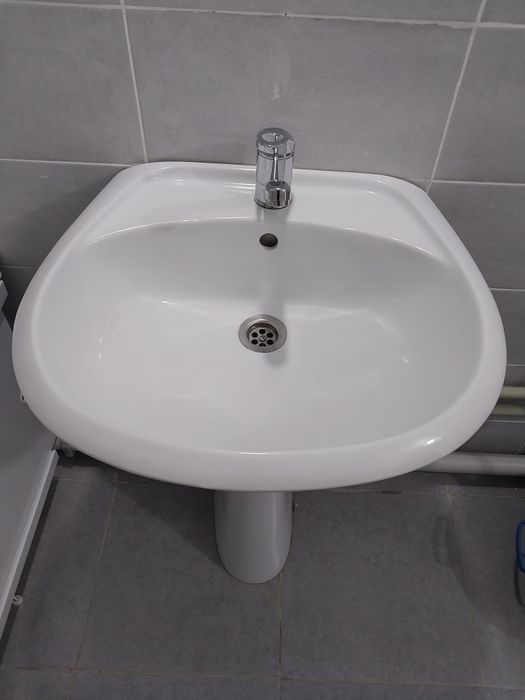 Раковина тюльпан