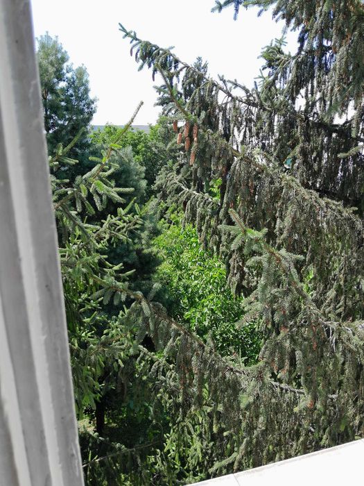 De vanzare apartament cu trei camere in Rodnei