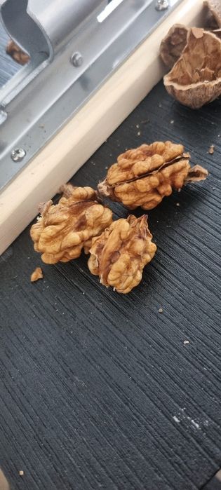 Орехотрошачка бадеми и лешници