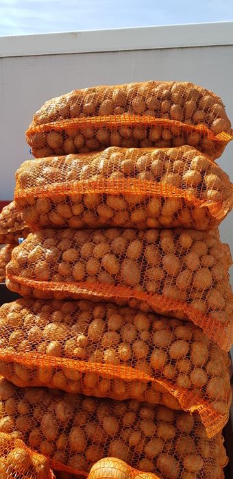 Vând cartofi ptr animale