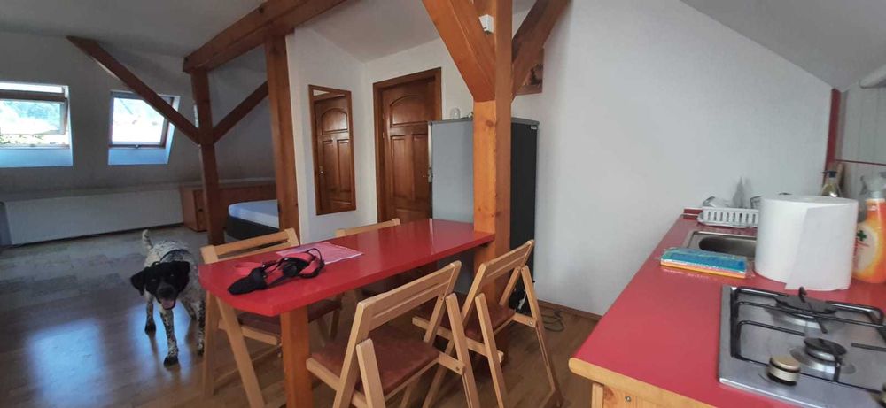 Studio, mansarda la casa, de inchiriat