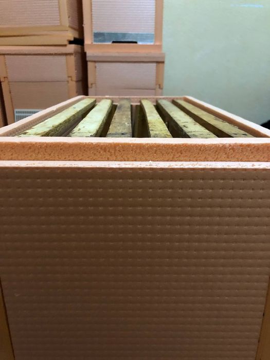 Asalari uyalari penaplekstdan yasalgan