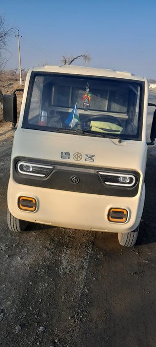 Электроний муравей