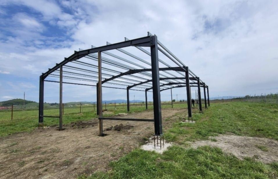Vand structura metalica 10x15x4h