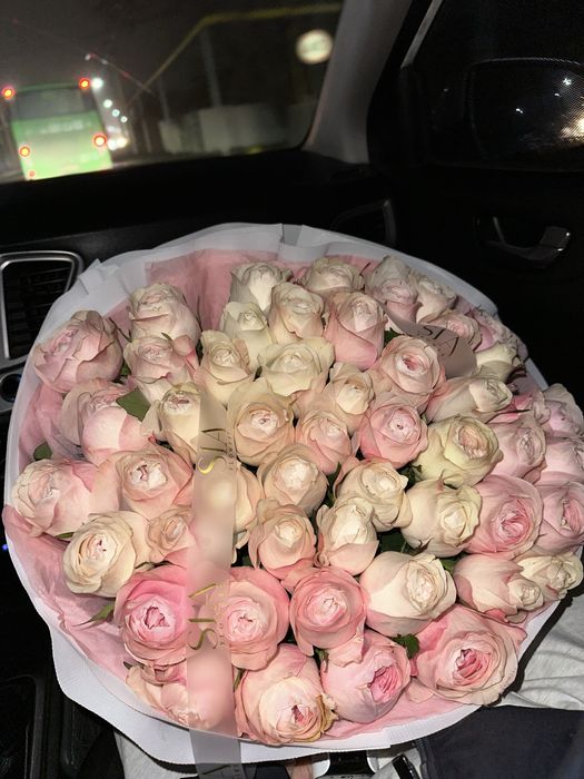 цветы свежий  роза 51