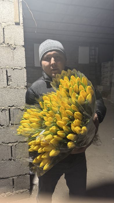 Тюльпан крупный.