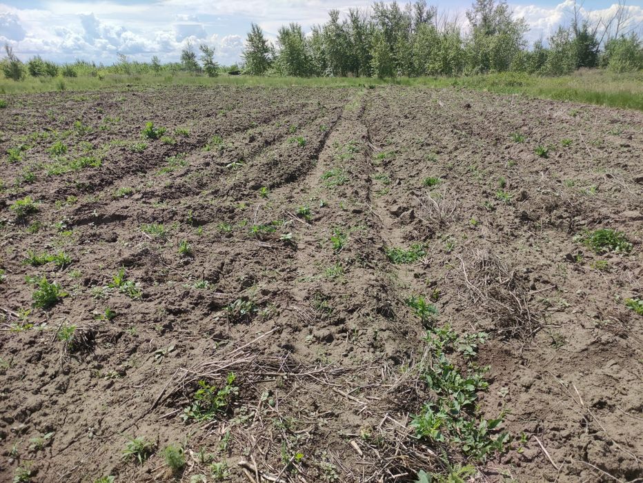 Продам участок 12 соток