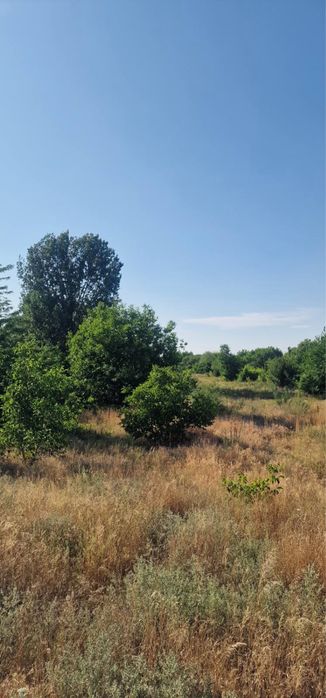 Продава се Земеделски имот в Видин, Акджамия -  кв.м за 565 €/дка - Снимка #12