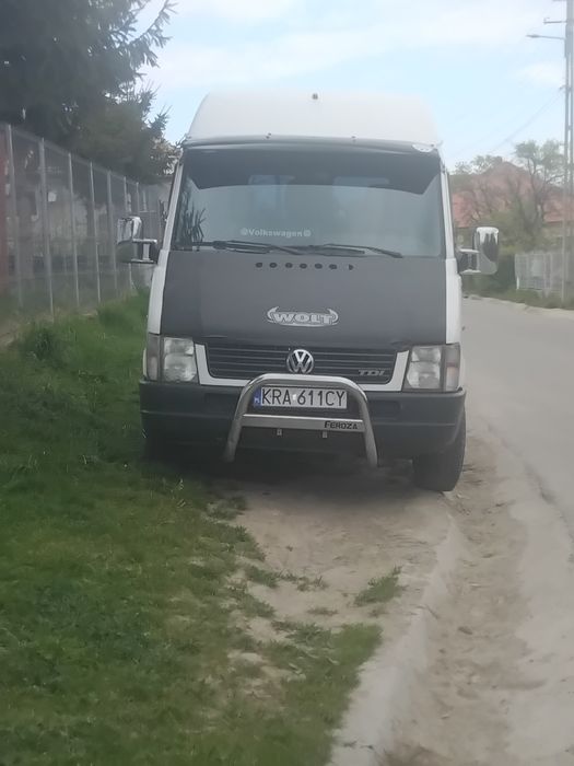 Vând elte de Polonia cu acte  valabile