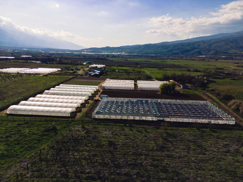 Продава се Земеделски имот в Петрич -  кв.м за 13 €/дка - Снимка #4