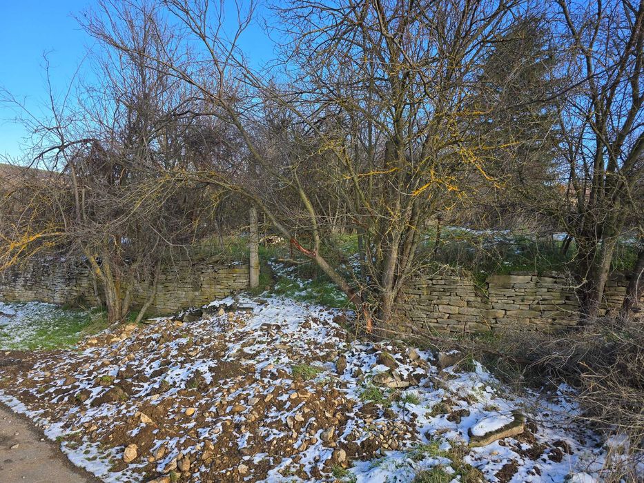 Продава се Парцел в с. Пушево, Област Велико Търново - 570 кв.м за 19 €/кв.м - Снимка #1