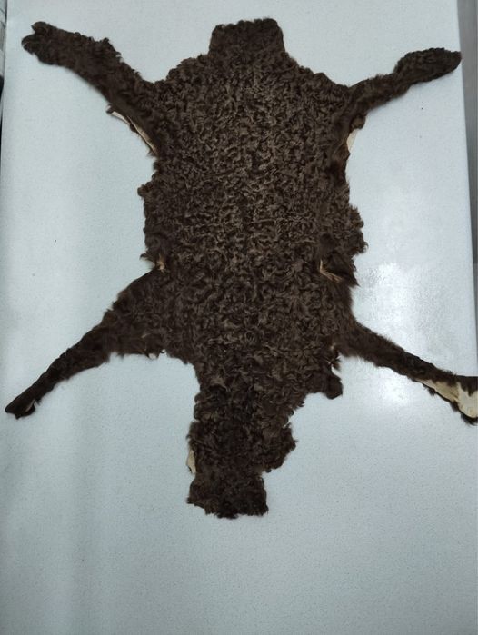 Каракульевые шкурки ( цвет сур )