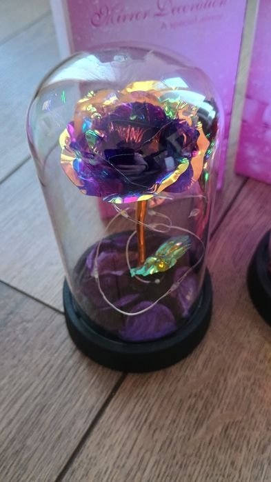 Cupole trandafiri ai ursuleți