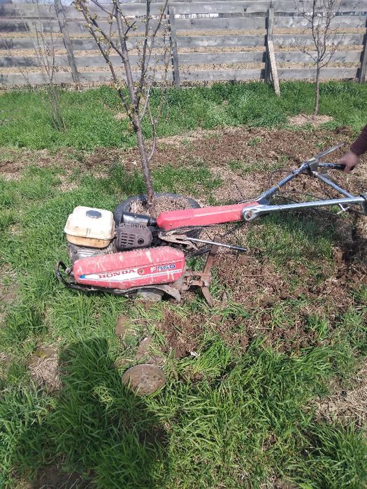 Motocultor Profesional Honda F560