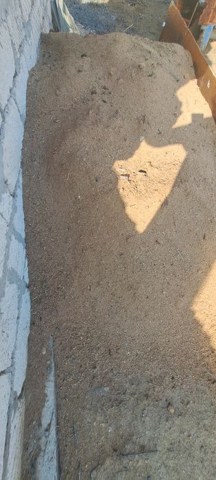Апилки древесные