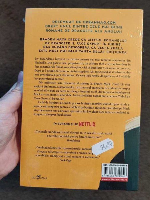 Seria Bromance dragoste/romance