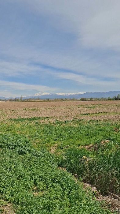 Кибрай туманида унумдор 75 сотих ер ижарага берилади