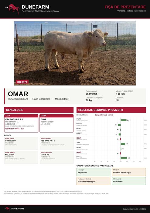 Tăuri Charolaise cu certificat genetic Franța – DUNEFARM