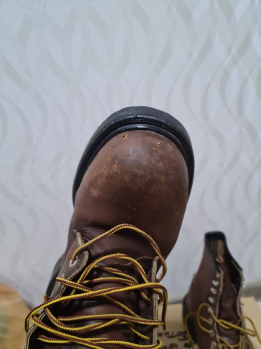 Редвинги, летние