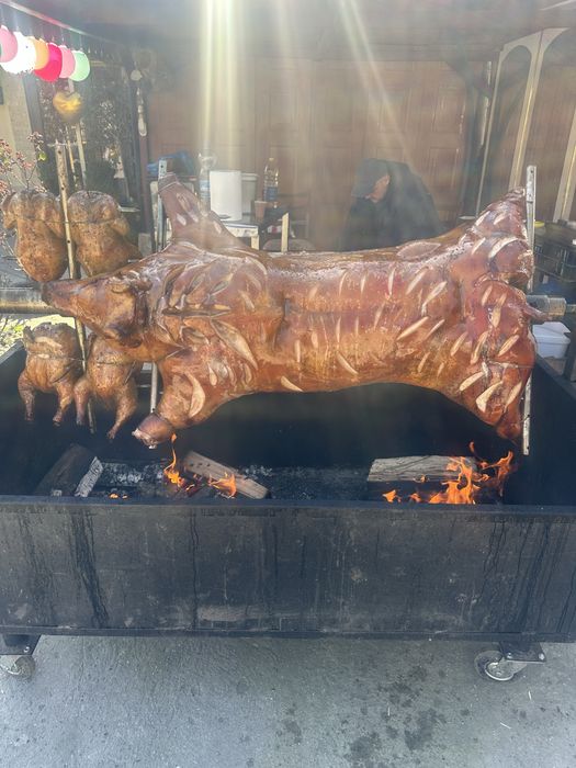 Protap de porc, vitel, berbecut, oaie, pui, curcani